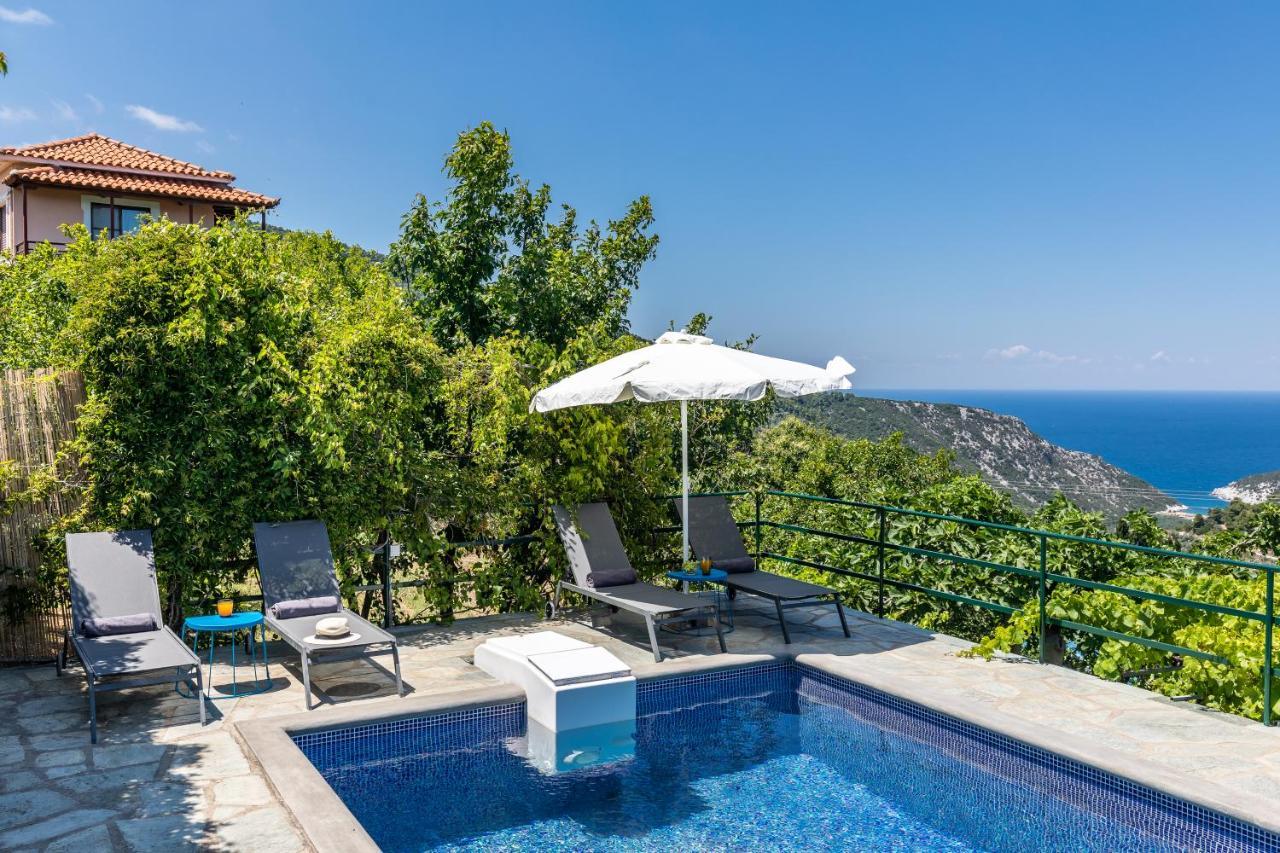 Villa Margini, Aegean Views , Pool Villa, Skopelos Exteriér fotografie